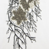 img-3